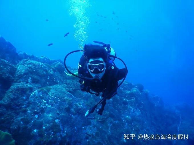 谁知道作死的名将是谁呢?专属问题解答